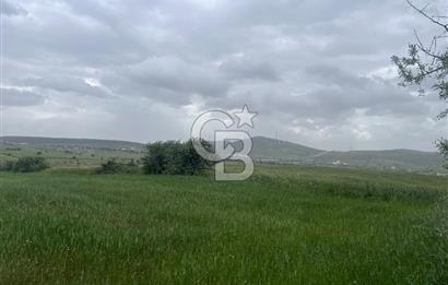 BALIKESİR KARESİ KALAYCILAR'DA SATILIK TARLA..! 11.609 m2