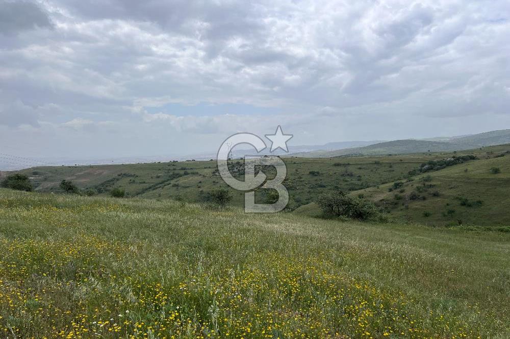 BALIKESİR KARESİ KÖTEYLİ'DE SATILIK TARLA...! 14.901 m2