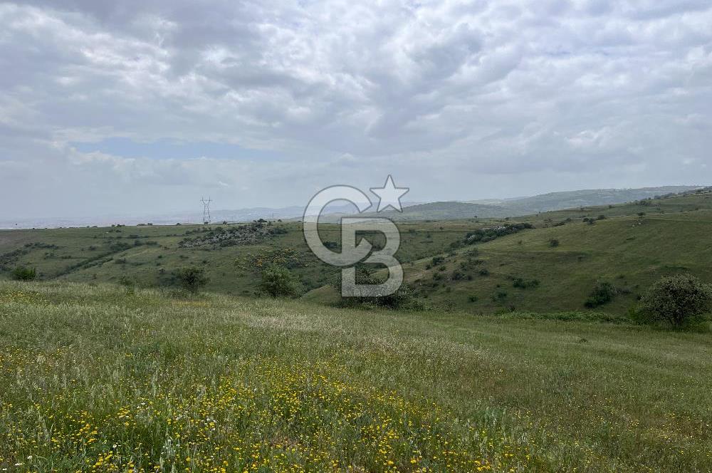 BALIKESİR KARESİ KÖTEYLİ'DE SATILIK TARLA...! 14.901 m2