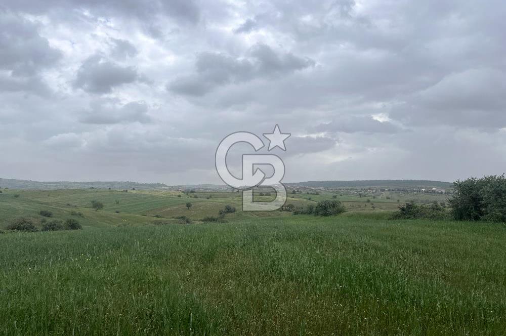 BALIKESİR KARESİ KALAYCILAR'DA SATILIK TARLA..! 11.609 m2