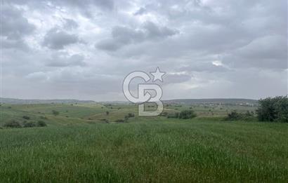 BALIKESİR KARESİ KALAYCILAR'DA SATILIK TARLA..! 11.609 m2