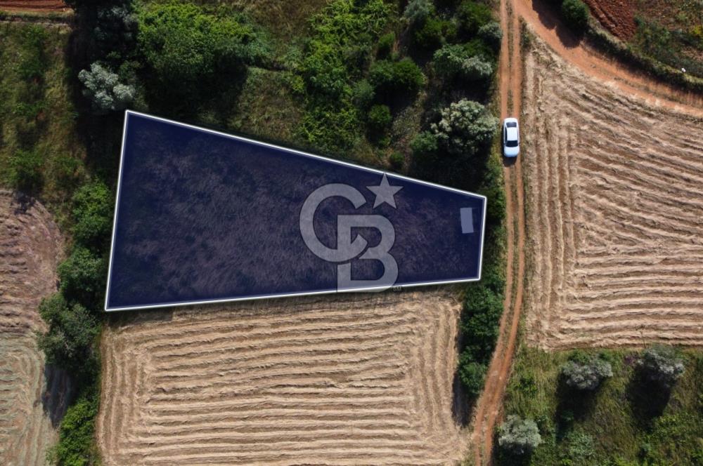 Çanakkale Lapseki Dışbudak Köyü 983 m² Yolu Olan Satılık Tarla