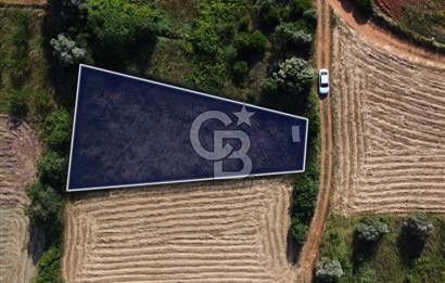 Çanakkale Lapseki Dışbudak Köyü 983 m² Yolu Olan Satılık Tarla