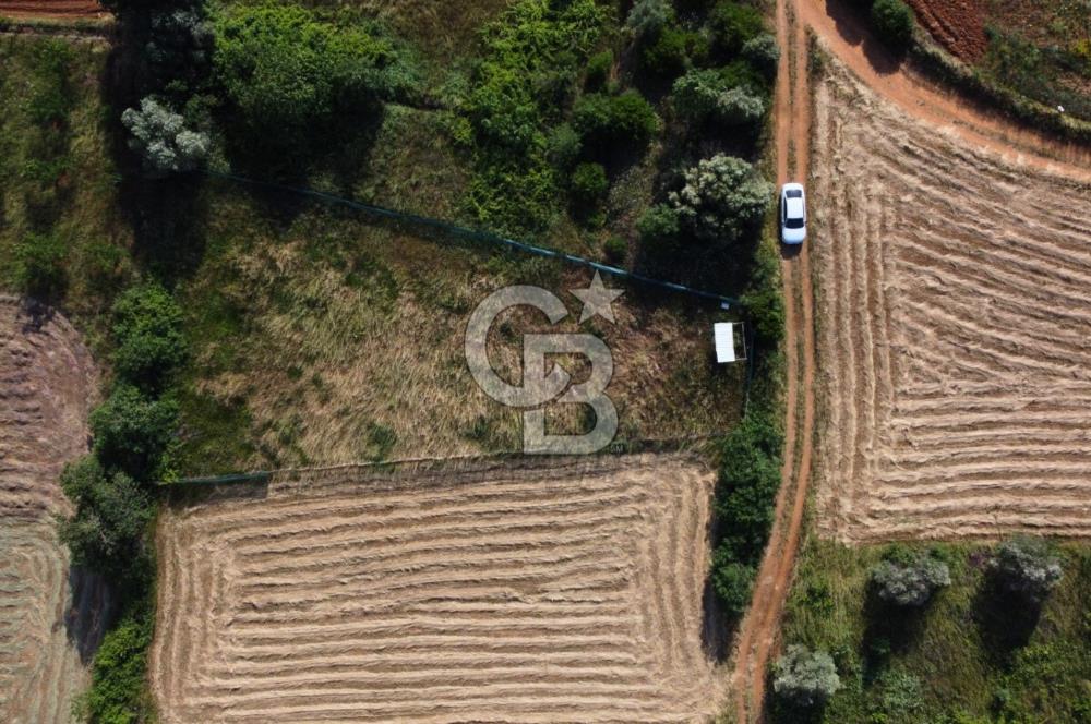 Çanakkale Lapseki Dışbudak Köyü 983 m² Yolu Olan Satılık Tarla
