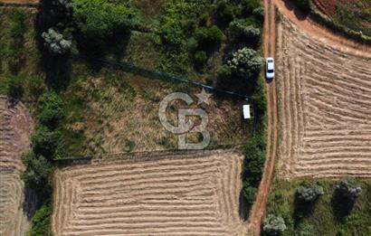 Çanakkale Lapseki Dışbudak Köyü 983 m² Yolu Olan Satılık Tarla