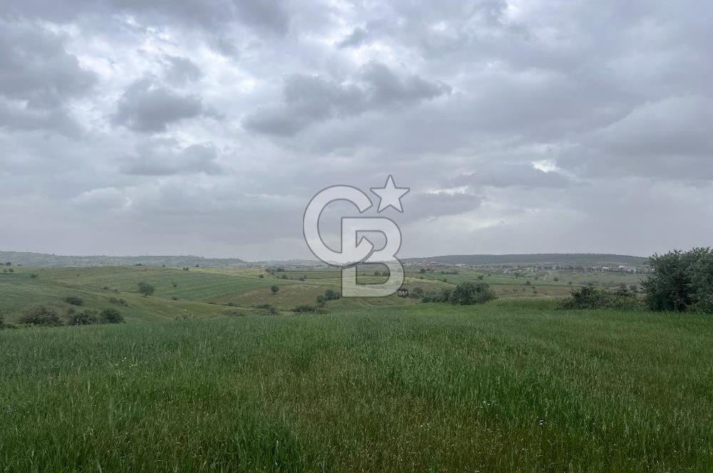 BALIKESİR KARESİ KALAYCILAR'DA SATILIK TARLA..! 11.609 m2