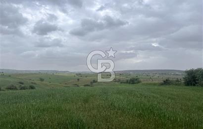 BALIKESİR KARESİ KALAYCILAR'DA SATILIK TARLA..! 11.609 m2