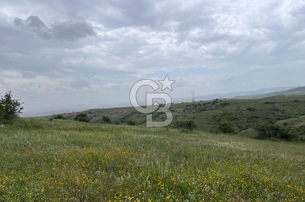 BALIKESİR KARESİ KÖTEYLİ'DE SATILIK TARLA...! 14.901 m2