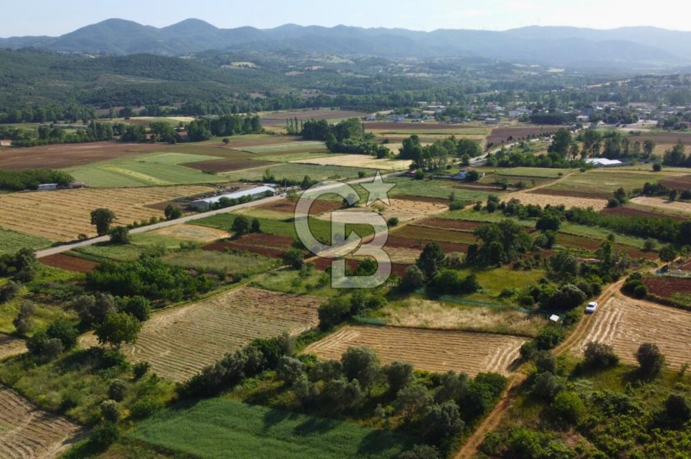 Çanakkale Lapseki Dışbudak Köyü 983 m² Yolu Olan Satılık Tarla