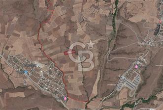 BALIKESİR KARESİ KALAYCILAR'DA SATILIK TARLA..! 11.609 m2