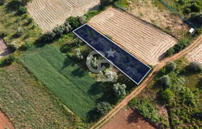 Çanakkale Lapseki Dışbudak Köyü 524 m² Yolu Olan Satılık Tarla
