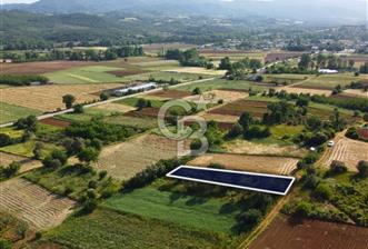 Çanakkale Lapseki Dışbudak Köyü 524 m² Yolu Olan Satılık Tarla