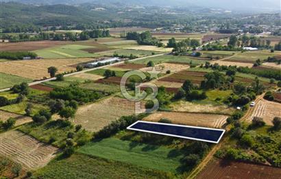 Çanakkale Lapseki Dışbudak Köyü 524 m² Yolu Olan Satılık Tarla