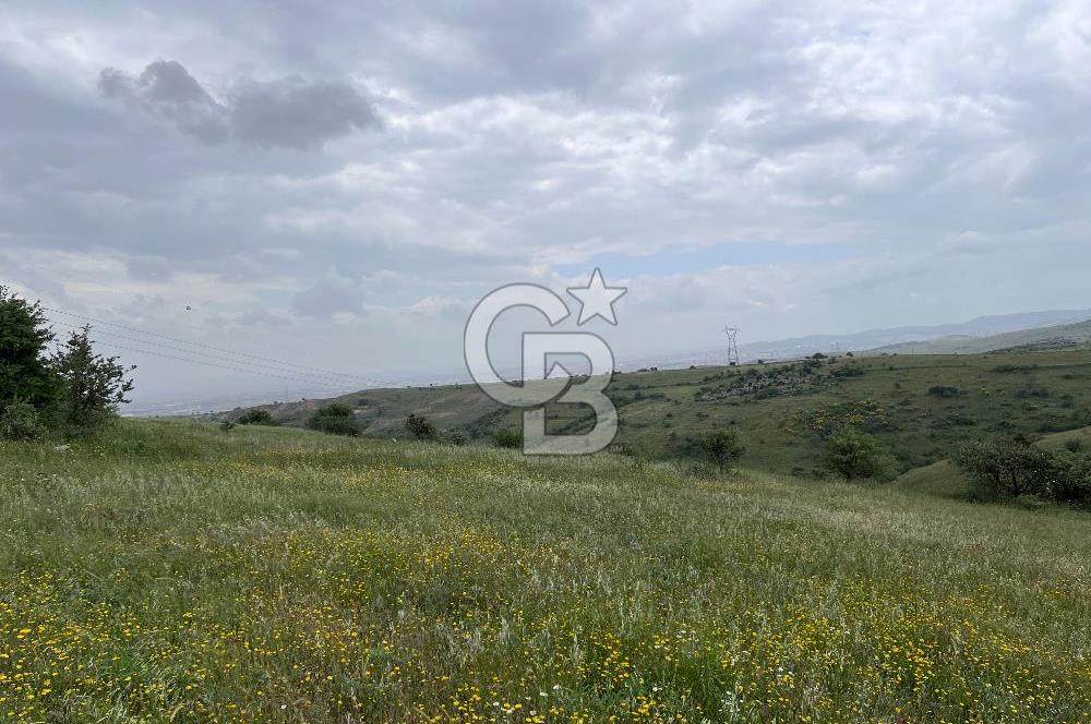 BALIKESİR KARESİ KÖTEYLİ'DE SATILIK TARLA...! 14.901 m2