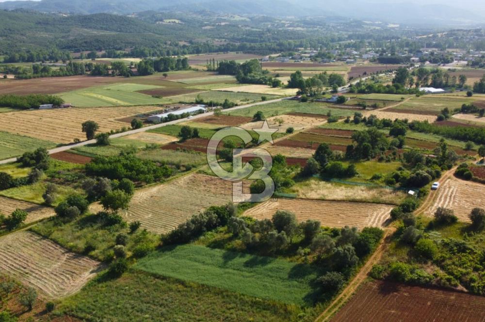 Çanakkale Lapseki Dışbudak Köyü 524 m² Yolu Olan Satılık Tarla