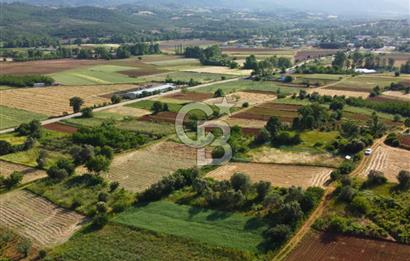 Çanakkale Lapseki Dışbudak Köyü 524 m² Yolu Olan Satılık Tarla