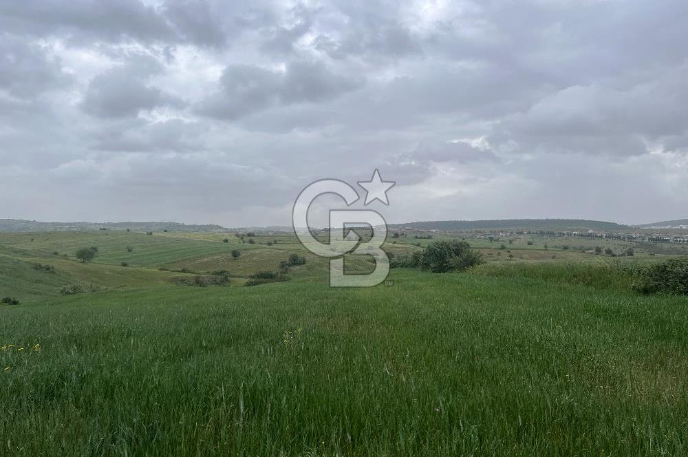 BALIKESİR KARESİ KALAYCILAR'DA SATILIK TARLA..! 11.609 m2