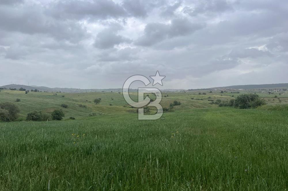 BALIKESİR KARESİ KALAYCILAR'DA SATILIK TARLA..! 11.609 m2