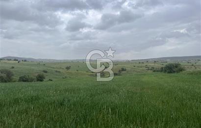 BALIKESİR KARESİ KALAYCILAR'DA SATILIK TARLA..! 11.609 m2