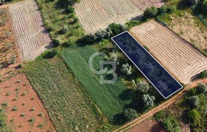 Çanakkale Lapseki Dışbudak Köyü 524 m² Yolu Olan Satılık Tarla