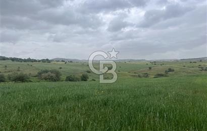 BALIKESİR KARESİ KALAYCILAR'DA SATILIK TARLA..! 11.609 m2
