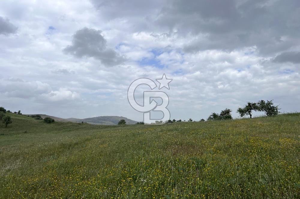 BALIKESİR KARESİ KÖTEYLİ'DE SATILIK TARLA...! 14.901 m2