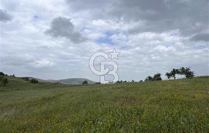 BALIKESİR KARESİ KÖTEYLİ'DE SATILIK TARLA...! 14.901 m2