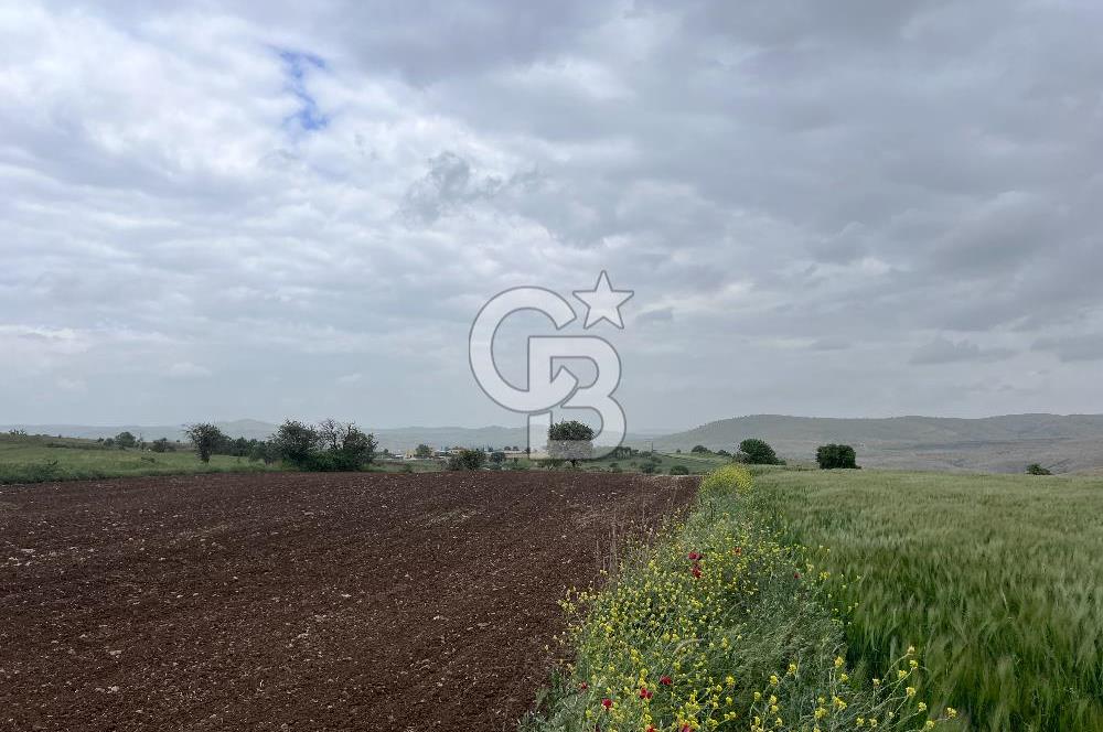 BALIKESİR KARESİ KÖTEYLİ'DE SATILIK TARLA..! 6.344 m2
