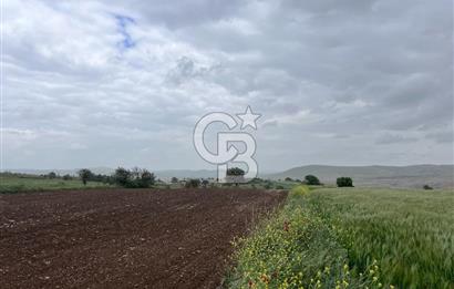 BALIKESİR KARESİ KÖTEYLİ'DE SATILIK TARLA..! 6.344 m2