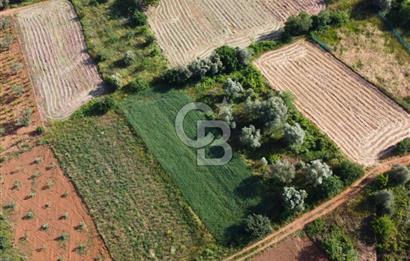 Çanakkale Lapseki Dışbudak Köyü 524 m² Yolu Olan Satılık Tarla