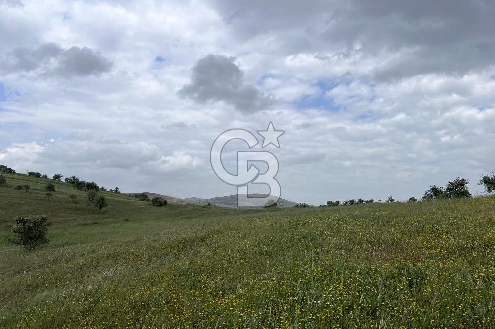 BALIKESİR KARESİ KÖTEYLİ'DE SATILIK TARLA...! 14.901 m2