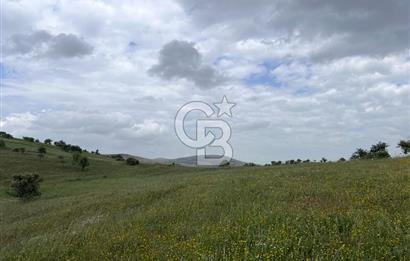 BALIKESİR KARESİ KÖTEYLİ'DE SATILIK TARLA...! 14.901 m2