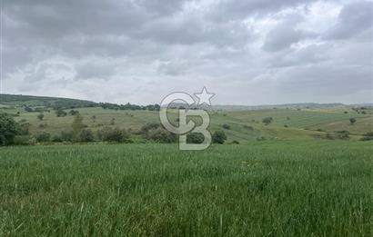 BALIKESİR KARESİ KALAYCILAR'DA SATILIK TARLA..! 11.609 m2