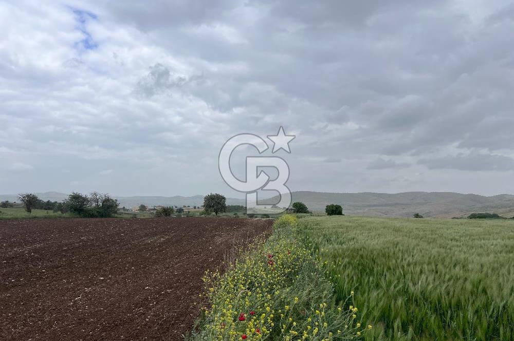 BALIKESİR KARESİ KÖTEYLİ'DE SATILIK TARLA..! 6.344 m2