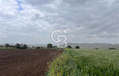 BALIKESİR KARESİ KÖTEYLİ'DE SATILIK TARLA..! 6.344 m2