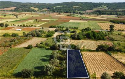 Çanakkale Lapseki Dışbudak Köyü 524 m² Yolu Olan Satılık Tarla