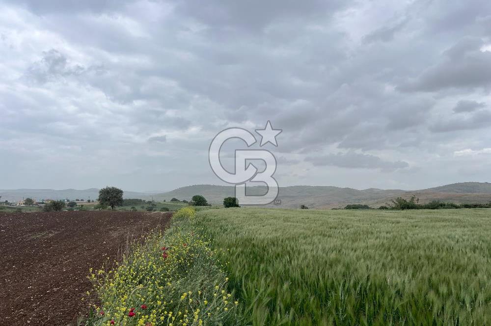 BALIKESİR KARESİ KÖTEYLİ'DE SATILIK TARLA..! 6.344 m2