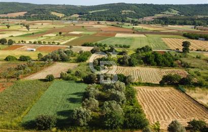 Çanakkale Lapseki Dışbudak Köyü 524 m² Yolu Olan Satılık Tarla