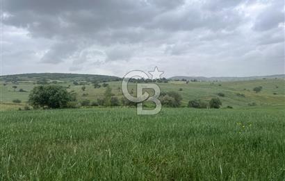 BALIKESİR KARESİ KALAYCILAR'DA SATILIK TARLA..! 11.609 m2
