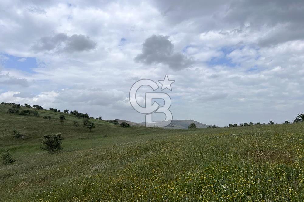 BALIKESİR KARESİ KÖTEYLİ'DE SATILIK TARLA...! 14.901 m2