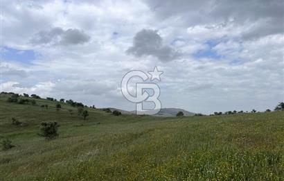 BALIKESİR KARESİ KÖTEYLİ'DE SATILIK TARLA...! 14.901 m2