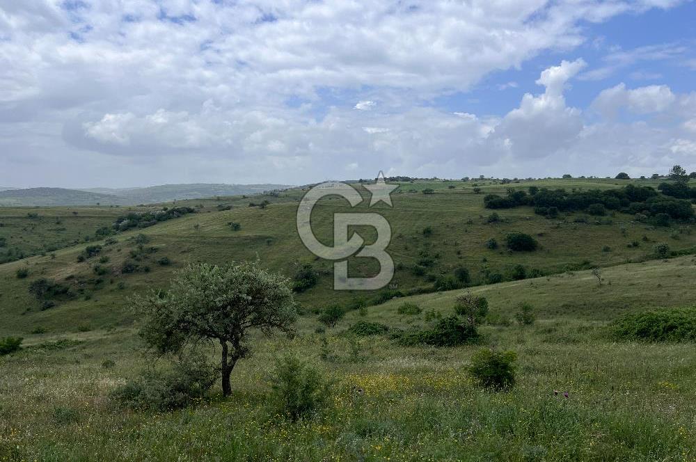 BALIKESİR KARESİ KÖTEYLİ'DE SATILIK TARLA...! 14.901 m2