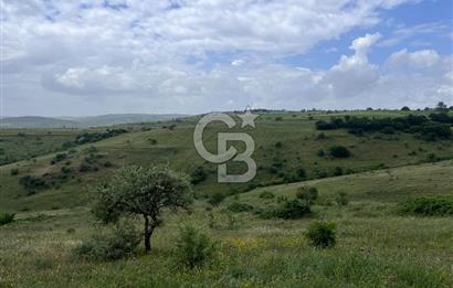 BALIKESİR KARESİ KÖTEYLİ'DE SATILIK TARLA...! 14.901 m2