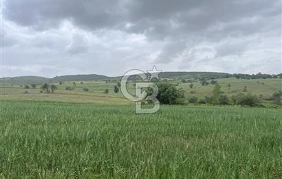 BALIKESİR KARESİ KALAYCILAR'DA SATILIK TARLA..! 11.609 m2