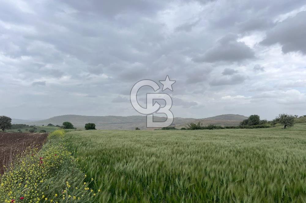 BALIKESİR KARESİ KÖTEYLİ'DE SATILIK TARLA..! 6.344 m2