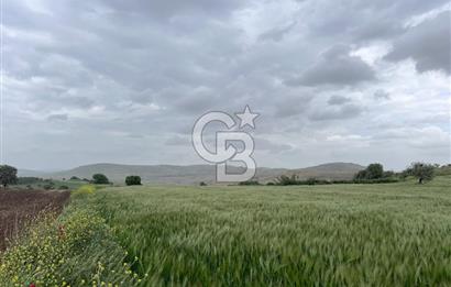 BALIKESİR KARESİ KÖTEYLİ'DE SATILIK TARLA..! 6.344 m2