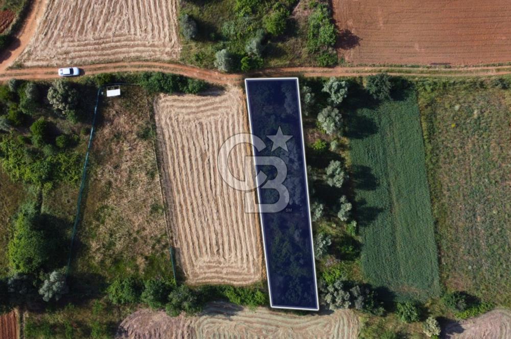 Çanakkale Lapseki Dışbudak Köyü 524 m² Yolu Olan Satılık Tarla