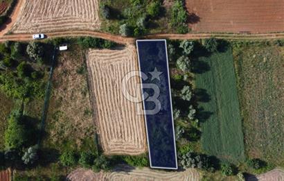 Çanakkale Lapseki Dışbudak Köyü 524 m² Yolu Olan Satılık Tarla
