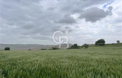 BALIKESİR KARESİ KÖTEYLİ'DE SATILIK TARLA..! 6.344 m2