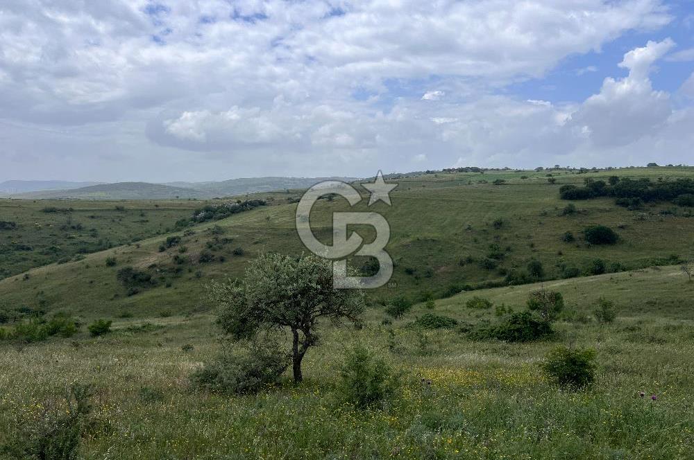 BALIKESİR KARESİ KÖTEYLİ'DE SATILIK TARLA...! 14.901 m2